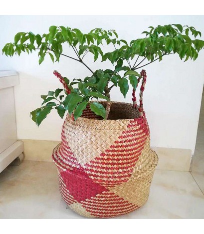 Grass Woven Hang Storage Bellied Basket Garden Flower Handle Pot(S